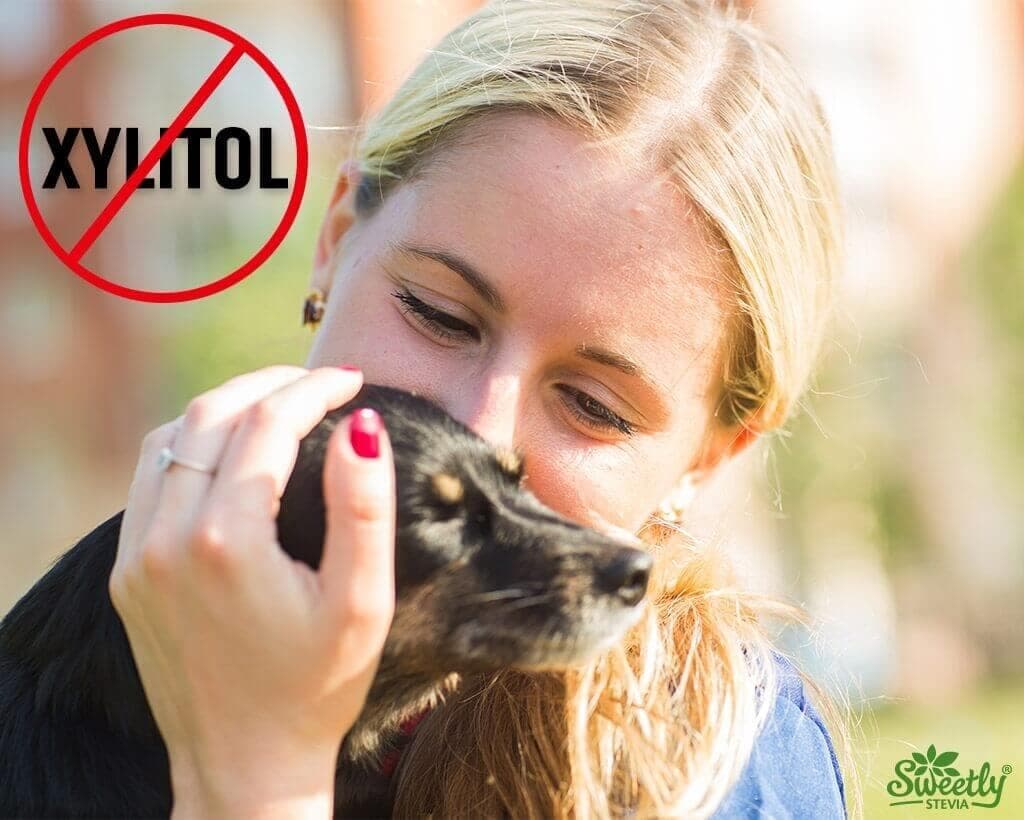 Xylitol is Dangerous for Dogs: Paws Off!