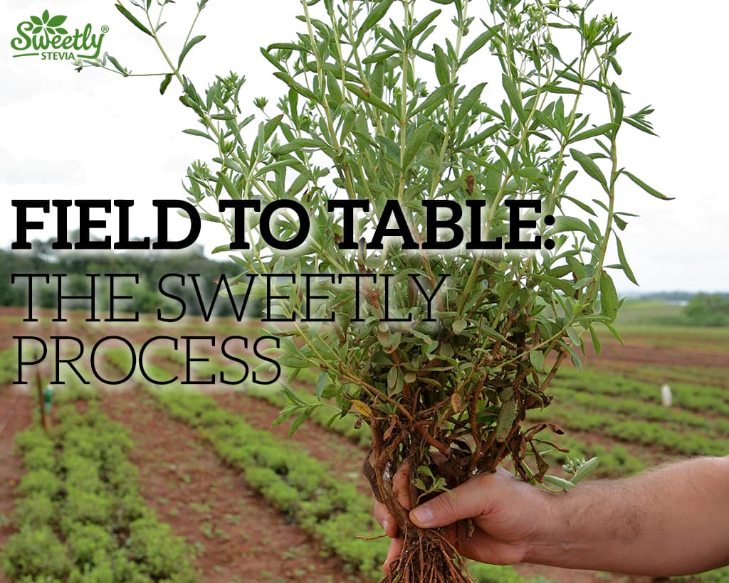 From Field to Table: The Sweetly Way